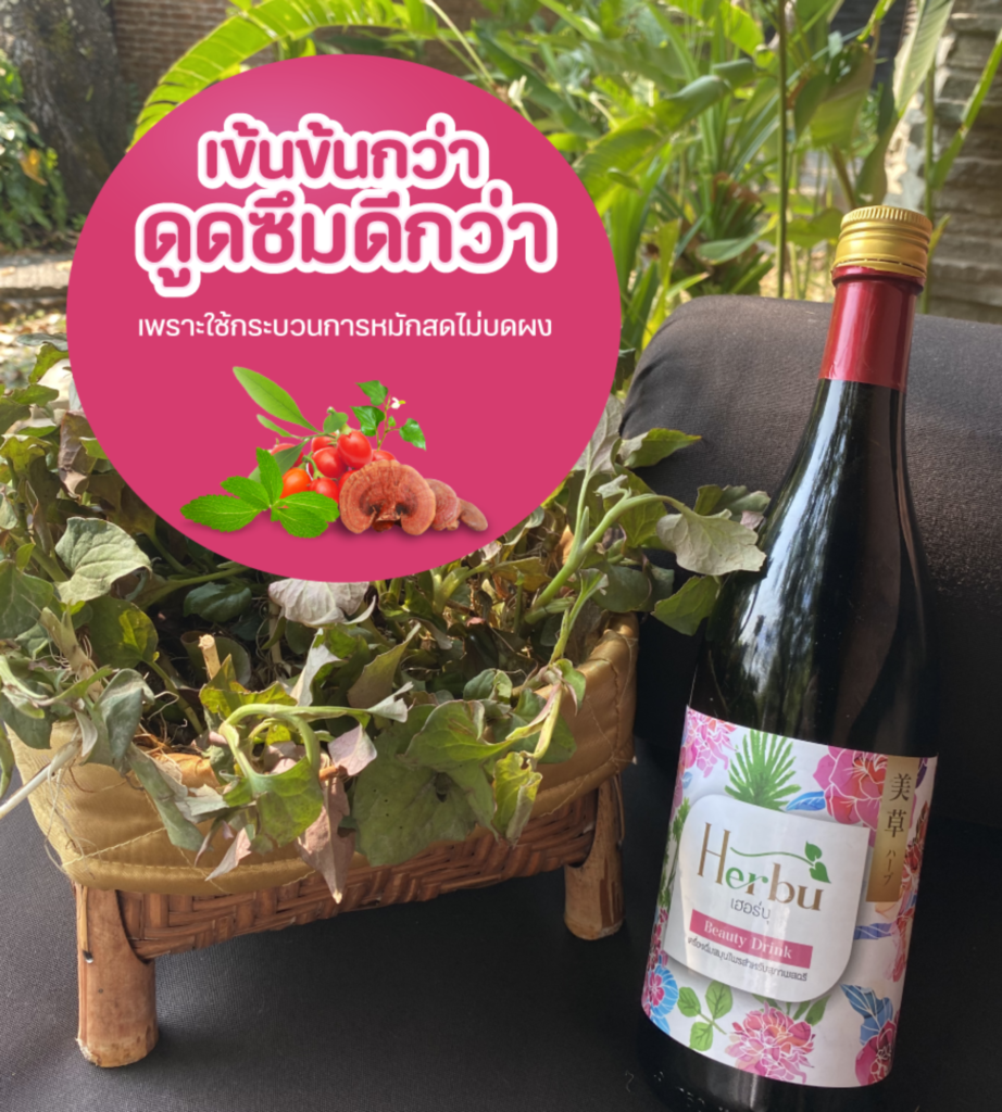 ดูดซึมดี